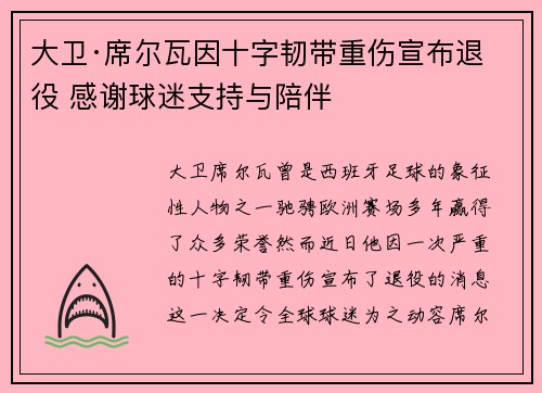 大卫·席尔瓦因十字韧带重伤宣布退役 感谢球迷支持与陪伴